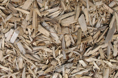 biomass boilers Dryburgh